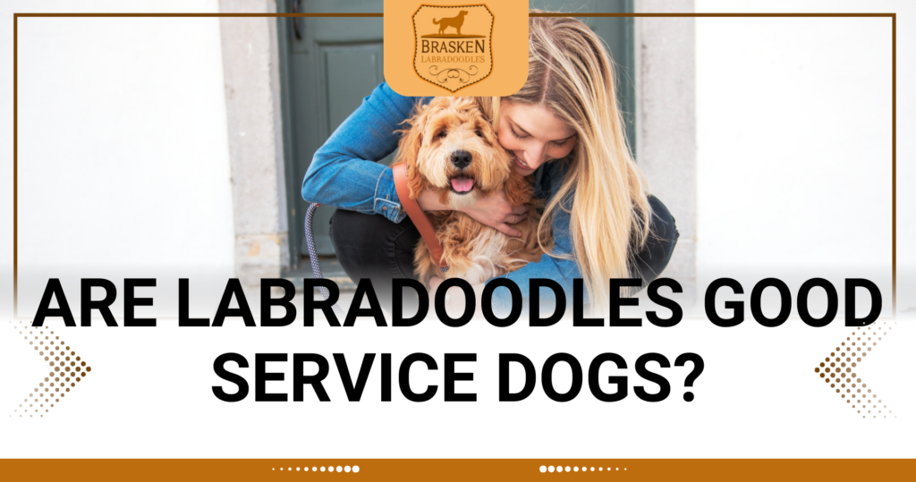 ARE LABRADOODLES GOOD SERVICE DOGS